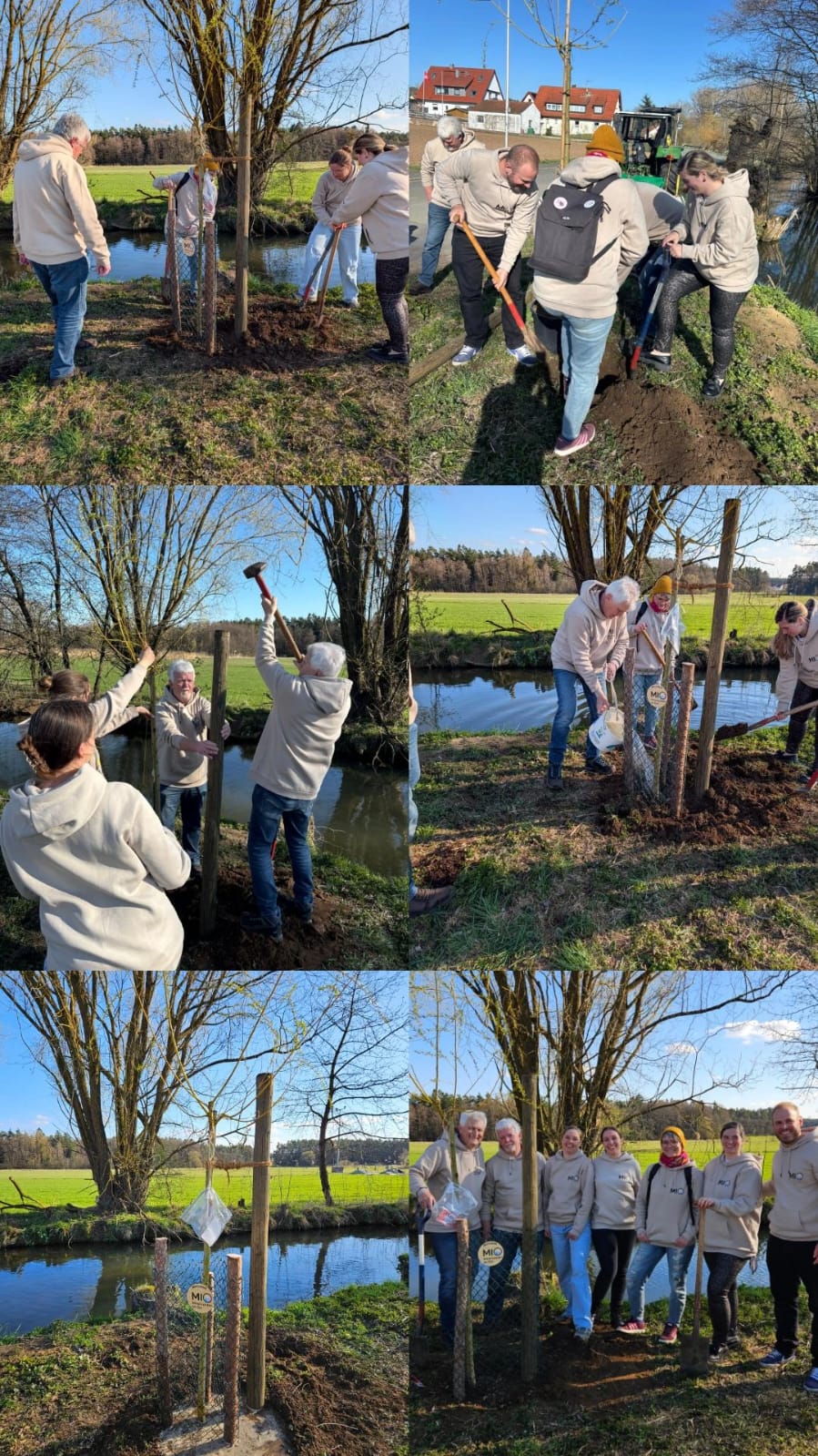 Pflanzung unseres Wunschbaumes